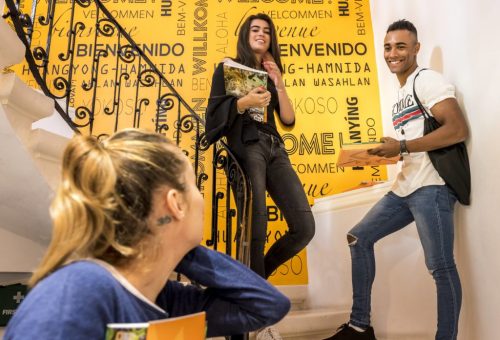 AM Language Malta Dil Okulu Fiyatları